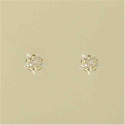 GPC 5mm CZ CLAW SET STAR STUDS
