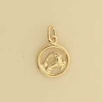 GPC 12mm CAPRICORN ZODIAC PENDANT      =