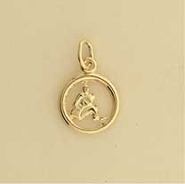 GPC 12mm AQUARIUS ZODIAC PENDANT       =