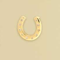 9ct 10pt DIA RUBSET HORSESHOE PENDANT