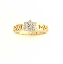 9ct 25pt DIA.SET S DESIGN CLUSTER RING