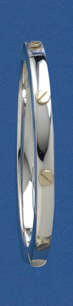 SIL/9ct 5mm HINGED BANGLE/5x4.5mm SCREWS