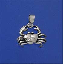 SPC CAST CANCER ZODIAC PENDANT         =