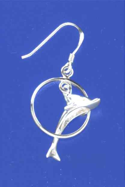 SPC   EARRING  DOLPHIN  IN HOOP        =