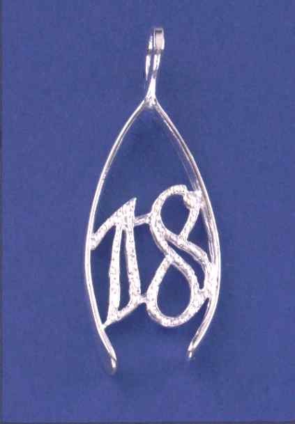 SPC LARGE 18 IN WISHBONE PENDANT       =