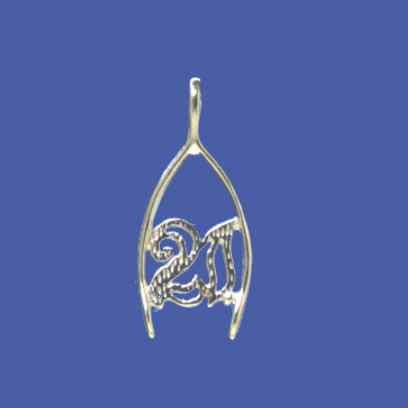 SPC SMALL 21 WISHBONE PENDANT          =