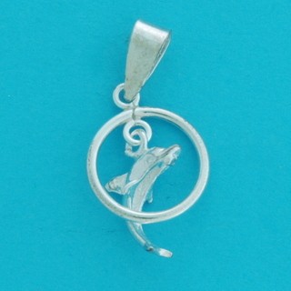 SPC DOLPHIN IN RING CHARM