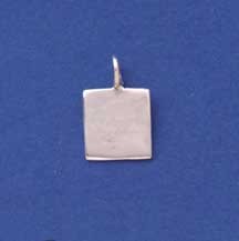 SPC 10mm POLISHED SQUARE TAG