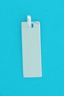 SPC 30 X 10mm RECTANGULAR TAG PENDANT