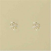 GPC 5mm CZ CLAW SET STAR STUDS