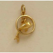 GPC MOVABLE DOLPHIN IN HOOP CHARM      =