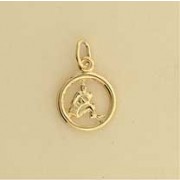 GPC 12mm AQUARIUS ZODIAC PENDANT       =