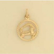 GPC 14mm CAPRICORN ZODIAC PENDANT      =
