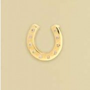 9ct 10pt DIA RUBSET HORSESHOE PENDANT