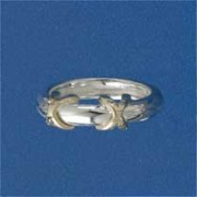 SIL/9ct DOUBLE CROSS 4mm D SECT RING