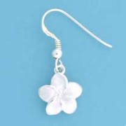 SPC 12mm OPEN FLOWER TWOTONE DROPS     =