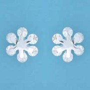 SPC CLIP SET CZ FLOWER STUD            =