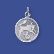 SPC 16mm ROUND TAURUS PENDANT          =