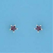 SPC 4mm CLAW SET STAR STUD-PURPLE      =