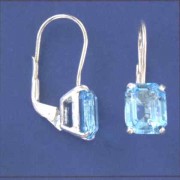 SPC 10x8 SQ.BLUE STONE SAFETY WIRE DROP=