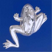 SPC LARGE FROG BROOCH                  -