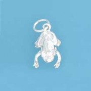 SPC MOVEABLE FROG CHARM                =