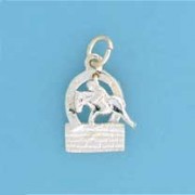 SPC MOVABLE SHOW JUMPER CHARM          =