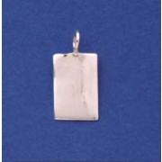 SPC 15x10mm RECTANGULAR POLISHED TAG   =