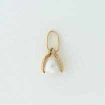 GWT PEARL IN OYSTER CHARM