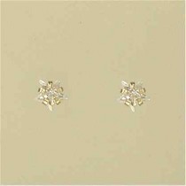 GPC 5mm CZ CLAW SET STAR STUDS