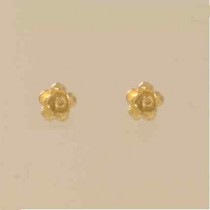 GPC MEDIUM ROSE STUDS                  =