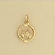 GPC 12mm CANCER ZODIAC PENDANT         =