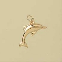 GPC HOLLOW DOLPHIN PENDANT             =