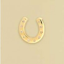 9ct 10pt DIA RUBSET HORSESHOE PENDANT