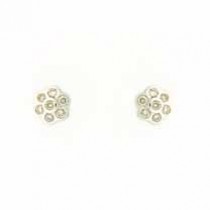 9ct WHITE 25pt DIAMOND SET FLOWER STUDS