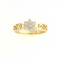 9ct 25pt DIA.SET S DESIGN CLUSTER RING