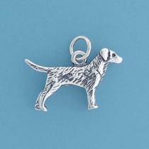 SPC DOG CHARM