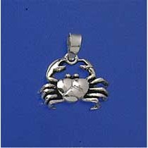 SPC CAST CANCER ZODIAC PENDANT         =