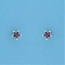 SPC 4mm CLAW SET STAR STUD-PURPLE      =