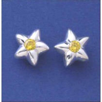 SPC PERIDOT CAST STAR STUDS            -