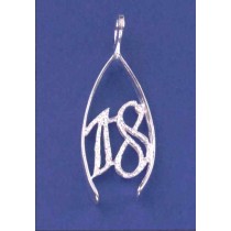 SPC LARGE 18 IN WISHBONE PENDANT       =