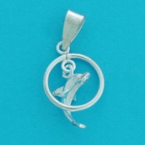 SPC DOLPHIN IN RING CHARM