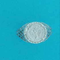 SPC BASKET PESO RING