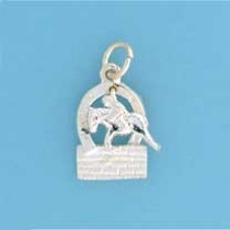 SPC MOVABLE SHOW JUMPER CHARM          =