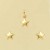 GPC 6mm POLISHED STAR STUD/PENDANT SET =