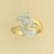 GPC CZ SET DOLPHIN RING