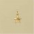 GPC 8mm STAR CHARM