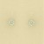 9ct 50pt DIAMOND CLAW SET STUDS       1Q