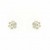 9ct WHITE 25pt DIAMOND SET FLOWER STUDS