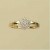 9ct 25pt DIAMOND CLUSTER RING